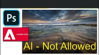 Artificial Intelligence (AI) Not Allowed
