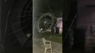 Spider Architects
