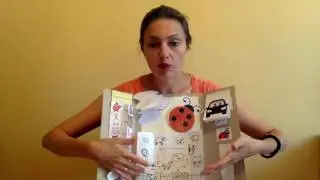 Labybird lapbook