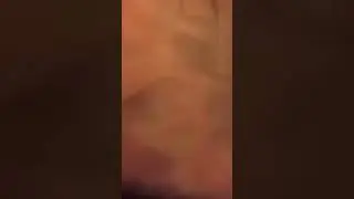 Игра жизни🎲 