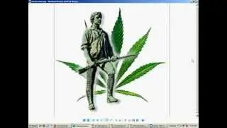 Marijuana,,, Medical Freedom and 1776