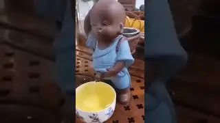 Самый правильный чай 