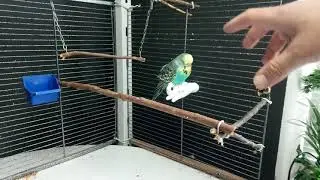Она сделала свой выбор :)