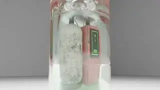 Plastic Bomb