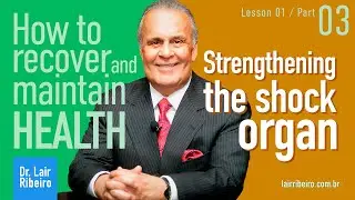 How to Recover and Maintain Health: Strengthening the Shock Organ