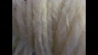 Glitched Stitchery Vlog 011: Dip Dyeing Handspun Cheviot Yarn with Wiltons Violet Food Coloring