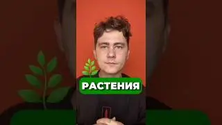 РАСТЕНИЯ ЗАБОТЯТСЯ О ДЕТЯХ 🥹 #егэ2025 #наука #шортс #химия #chemistry #top #shorts #short