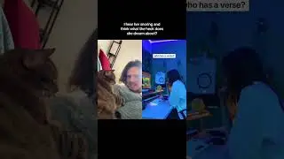 My cat is sleepy 🐱 beat by BLANK66