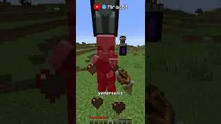 Looters in Minecraft in 40 Seconds ⛏🧿
