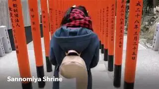 Kobe Himeji day trip from Osaka