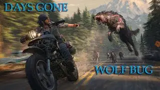 Days gone - wolf bug