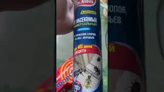 Борьба с тараканами вечная …