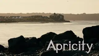 Apricity - Tamron 50-400 with ZV-E1