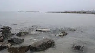 Азовское море. Приморск.Украина.Прогулка по дождливому зимнему морю.