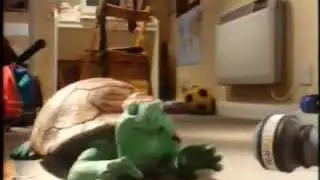 Turtle song english language