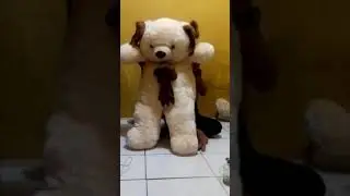 Semok goyang