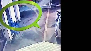 СУДЕБНЫЕ ПРИСТАВЫ ПЫТЬ ЯХА В ЗАГУЛЕ