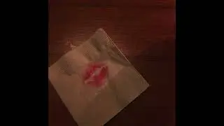 nightly - the movies