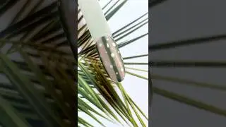 Очень простой дизайн💚 
