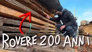200 ANNI per FARE un TAVOLO in ROVERE | Progetto Impavida