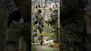 The US army created the furries 🦊