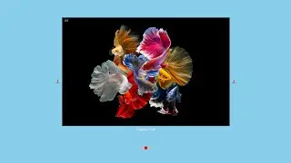 Creating an Image Slider Using HTML, CSS, and JavaScript | Step-by-Step Tutorial