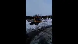 Snow Rabbit at a ski race