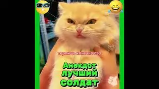 Анекдот про лучшего солдата. 