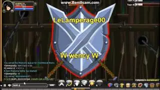 =AQW=  Revamped Paladin PvP