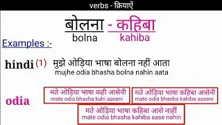 hindi to odia verbs || hindi to odia verbs with examples || hindi to odia || odia bhasha ||