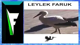 Furkan Emirce - Leylek Faruk (Yeni 2022)