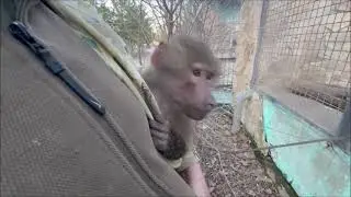 Люся и Елисей. Вот и села любви нашей батарейка...