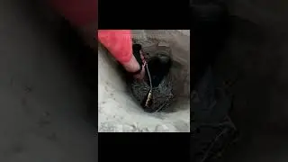 Diwali Anar Vs Deodrant Experiment Inside Hole | Patakhe 