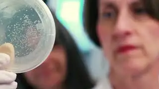 The AACR: The First and Largest Scientific Organization Sole Dedicated to Advancing Cancer Research