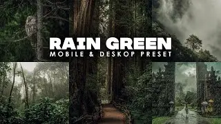 RAIN GREEN PRESET | Lightroom Mobile Presets | GREEN PRESET - FREE PRESETS