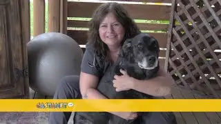 Vet technologist joins after hours service