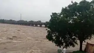 महानदी में बाढ़