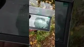 5 ка ахд, видео от пользователя, летний пруд