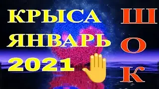 Крыса в Январе 2021 года. Восточный (китайский) гороскоп для знака Крыса на Январь 2021 года.
