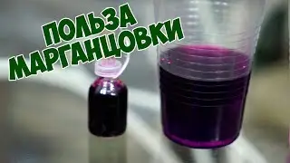 The benefits of potassium permanganate for plants, seeds and soil