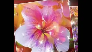 Imagini frumoase cu flori ❤❤