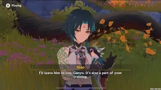 The Pesky Pilgrim- Sinae Unicornis Chapter: Act 1 | Genshin Impact