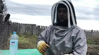Обработка Бипин