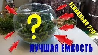 КВАШЕНЫЕ ОГУРЦЫ В АКВАРИУМЕ
