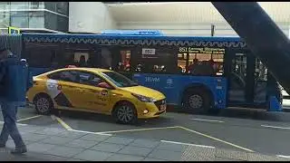 автобус ЛиАЗ-6213 в Аэропорту Шереметьево