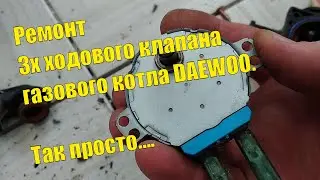Ремонт трехходового клапана газового котла Daewoo DGB-200MSC. Устройство и принцип действия.