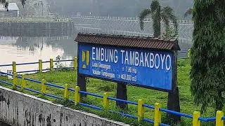 GOWES ke EMBUNG TAMBAKBOYO  🐊🐊 😱