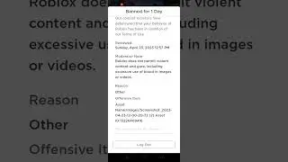 меня забанили в 1 раз за картинку страшную в Roblox