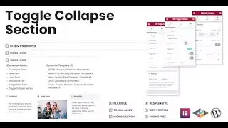 Toggle Collapse Section Elementor Addon By TemeGUM