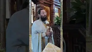 20.08.24. Церковь - живой организм